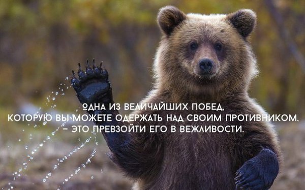   - 18  2015  19:03