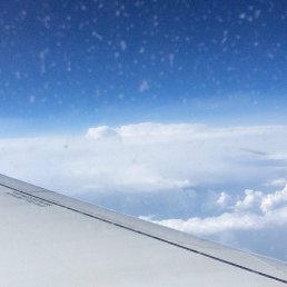 ����, ����������