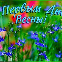 ���� ���������, ������ - ��������� 1 ����� 2015 � ������ �������� ��������