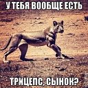  , , 45  -  10  2015   Life Style:)