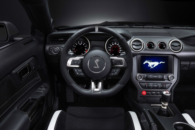 2015' Shelby GT350R Mustang - 4