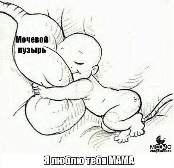 Так вот оно как...