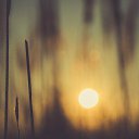 ���� ���������, ��������, 34 ���� - ��������� 8 ������ 2015 � ������ ����� 2�