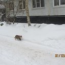 ��������������, �����������! :) �� ������� �C�����, ������ ����.�