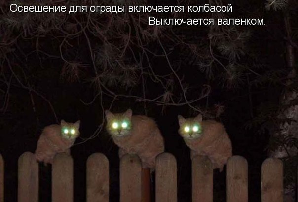       - 16  2015  03:06