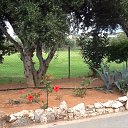 ���� ��������, �����, 57 ��� - ��������� 15 ������� 2014 � ������ ����� 2014�