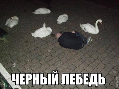     - 20  2015  04:40