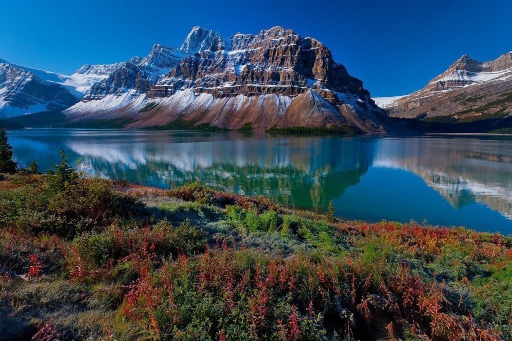     .   (Kevin McNeal),  . ... - 2