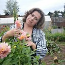 ���� ����, ��������� - ��������� 8 ������ 2015 � ������ ���� ����������