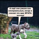 ���� ������, �������, 32 ���� - ��������� 20 ������� 2015 � ������ ���� ����������