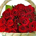 ���� Ceyhun69, ����, 44 ���� - ��������� 23 ������� 2014 � ������ ���� ����������