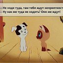 ���� ����, ������, 45 ��� - ��������� 8 ������� 2015 � ������ ���� ����������