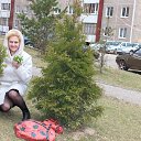 ���� �����, ����������, 57 ��� - ��������� 13 ������ 2015 � ������ ���� ����������