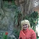 ���� �������, ������ - ��������� 8 ������ 2015 � ������ ���������� ������