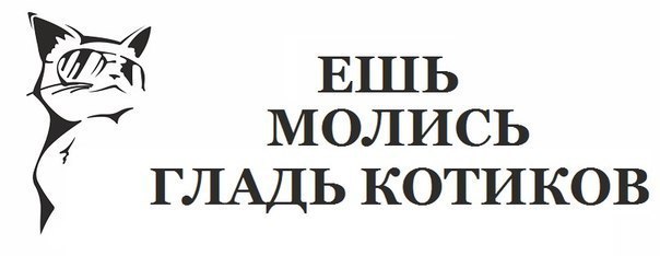 Наши любимцы :3 - 7 марта 2015 в 21:47