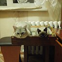 ����� ����? �� ������� ���� ����������