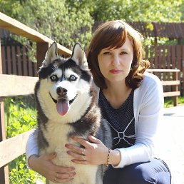 ���� ������, ������, 51 ��� - ��������� 1 ������ 2015