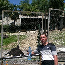 ���� �������, ����-���, 51 ��� - ��������� 14 ������ 2015