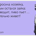 ���� Alexei, ������, 50 ��� - ��������� 14 ����� 2015 � ������ ������ ��������