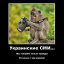 ���� ������, ��������, 53 ���� - ��������� 10 ����� 2015 � ������ ������ ��������