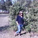  ,  , 41  -  11  2015