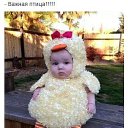 ���� ���������, ����� - ��������� 15 ������ 2015 � ������ ������ ��������