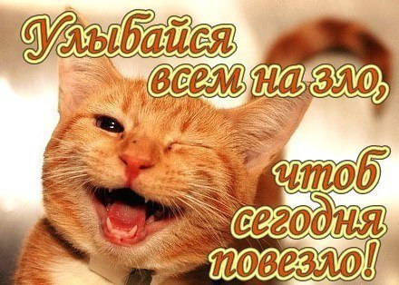   https://fotostrana.ru/away?to=/sl/KE2