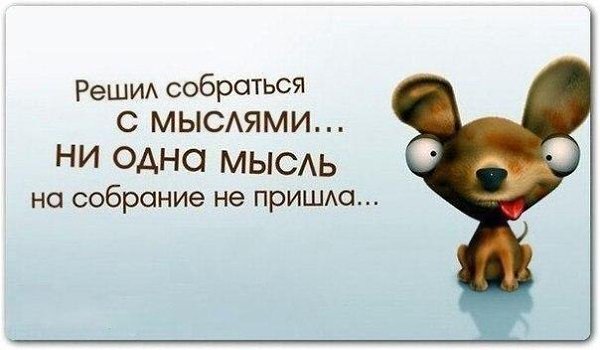   - 5  2015  13:31