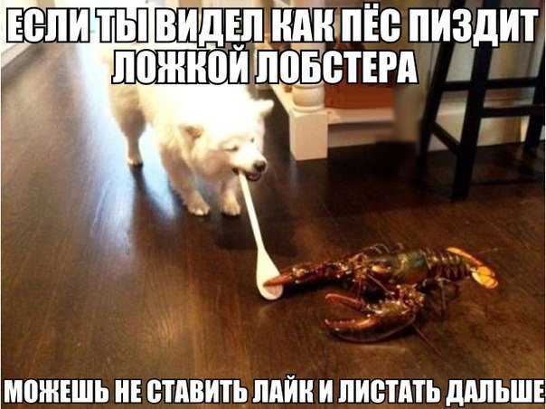    :-) - 20  2014  23:40