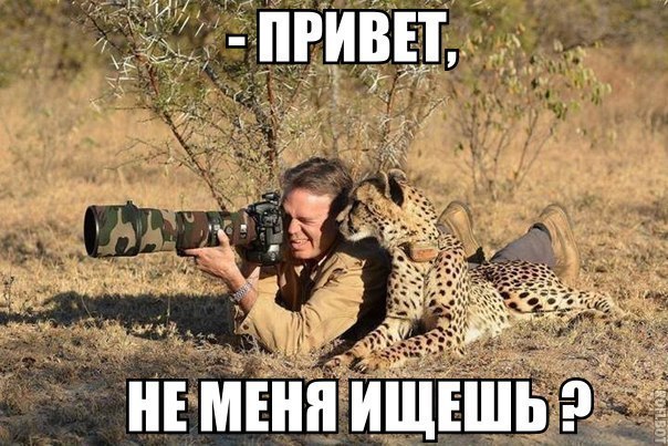   - 24  2015  18:07