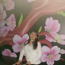 ���� �����, �����������, 44 ���� - ��������� 1 ������� 2015 � ������ ���� ����������