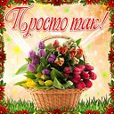 ���� ����, �����, 67 ��� - ��������� 8 ������ 2015 � ������ �������� ��������