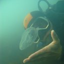 ���� �������, ����-���, 51 ��� - ��������� 14 ������ 2015