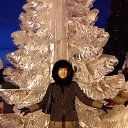 ���� ����, ����������, 56 ��� - ��������� 8 ������ 2015 � ������ �������