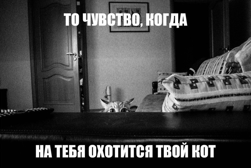       - 2  2015  16:30