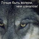  @*Yura*@, , 47  -  19  2015