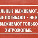 ���� �����, �������� - ��������� 28 ������� 2014 � ������ ������ ��������