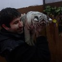  Vaso, , 37  -  14  2014    