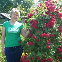 ���� ������, ��������� - ��������� 25 ������� 2015 � ������ ���� ���� ������