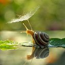 ���� Lena, ������ - ��������� 3 ������ 2015 � ������ ������ ��������