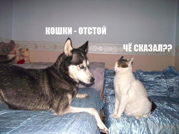       - 2  2015  18:32