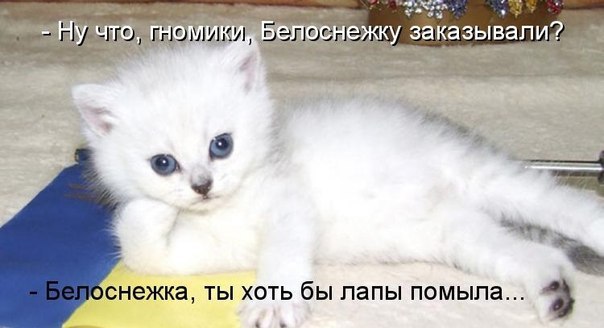       - 15  2015  23:04