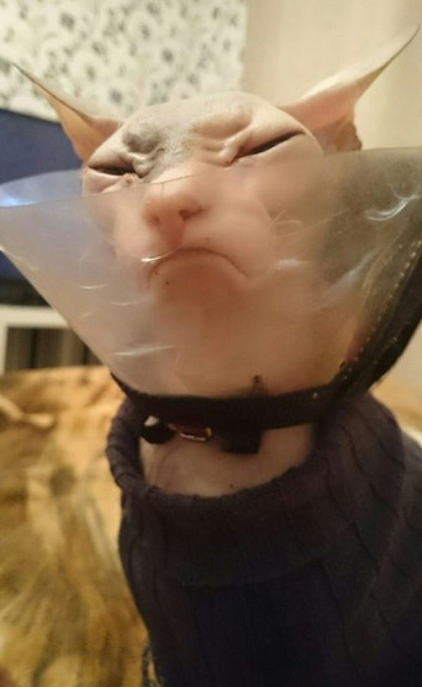         .     ?.. - 2
