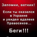 ���� Tim, ��������� - ��������� 31 ������ 2015 � ������ ������ ��������