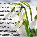  Alla,  -  31  2015    