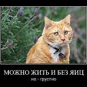  Natali, - -  3  2015    