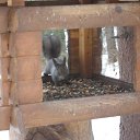  , , 50  -  4  2015   2015