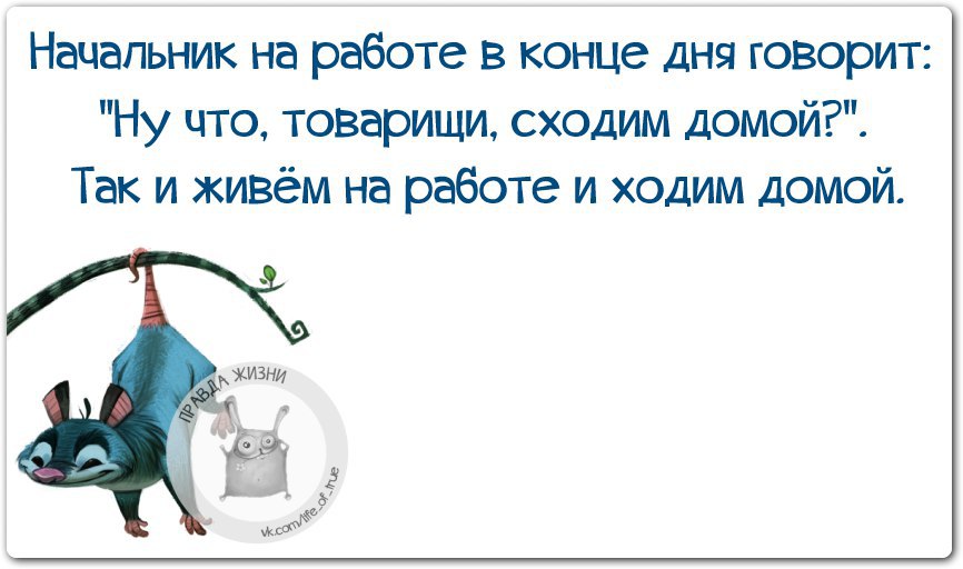   - 11  2015  11:15