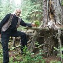 ���� Volk, �����, 67 ��� - ��������� 7 ����� 2015 � ������ ���� ����������