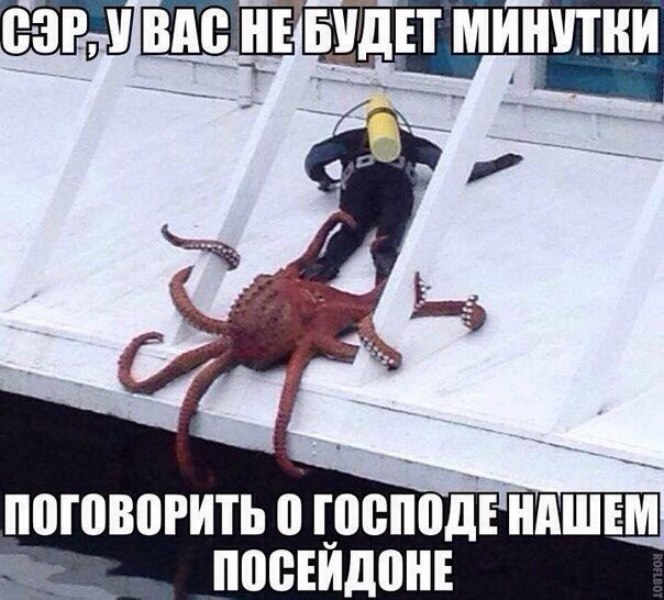  - 10  2015  17:19
